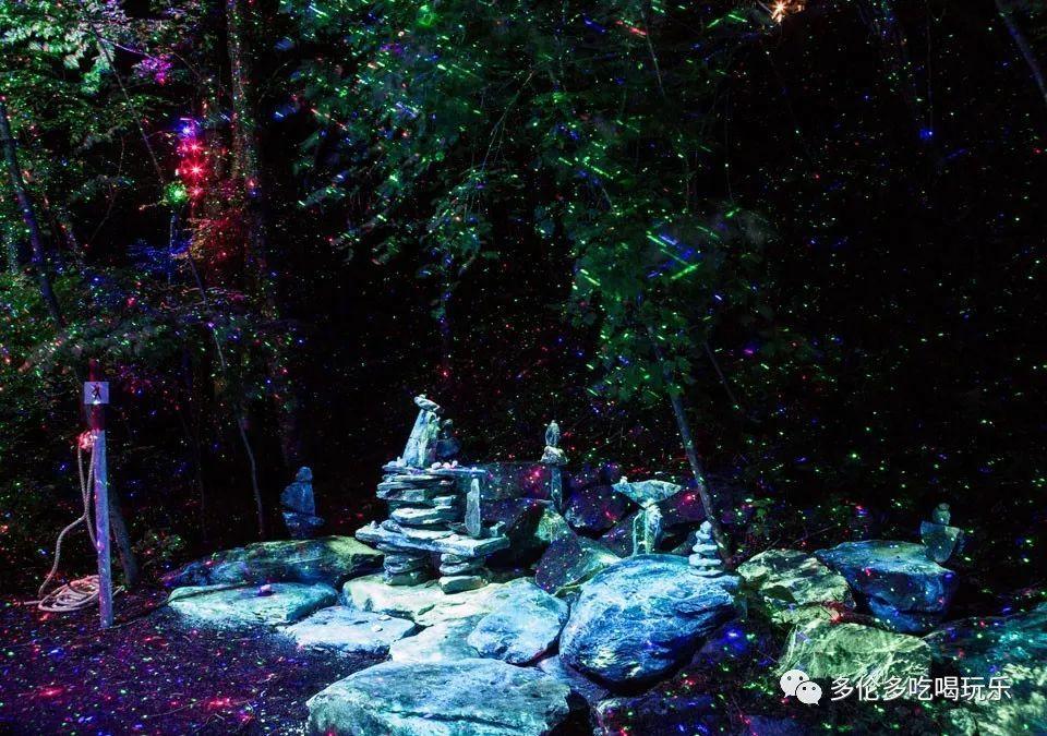 綦听丨时光依旧无限美好
