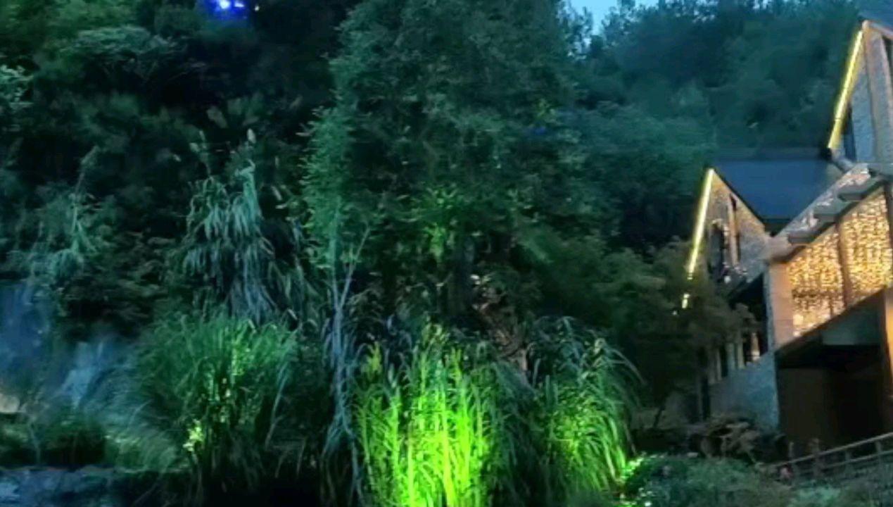 召唤神龙万宁版祖龙